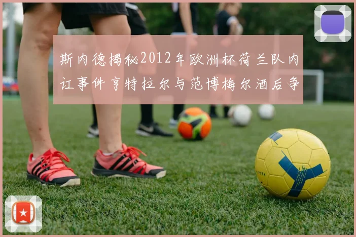 斯内德揭秘2012年欧洲杯荷兰队内讧事件亨特拉尔与范博梅尔酒后争执内幕